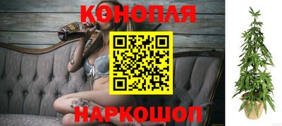 не бодяженный Шелехов