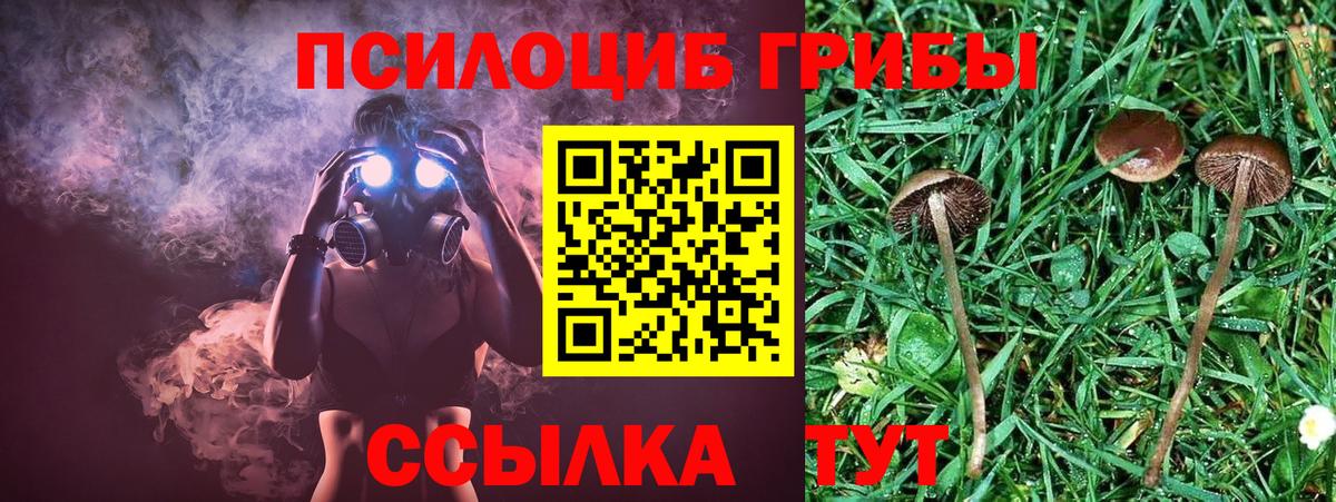 Новокубанск  Псилоцибиновые грибы Magic Shrooms  наркотики  Псилоцибиновые грибы мухоморы  Вход с VPN 